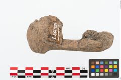 Foto von Hirschgeweihhammer (NHMW-PRAE-085891)